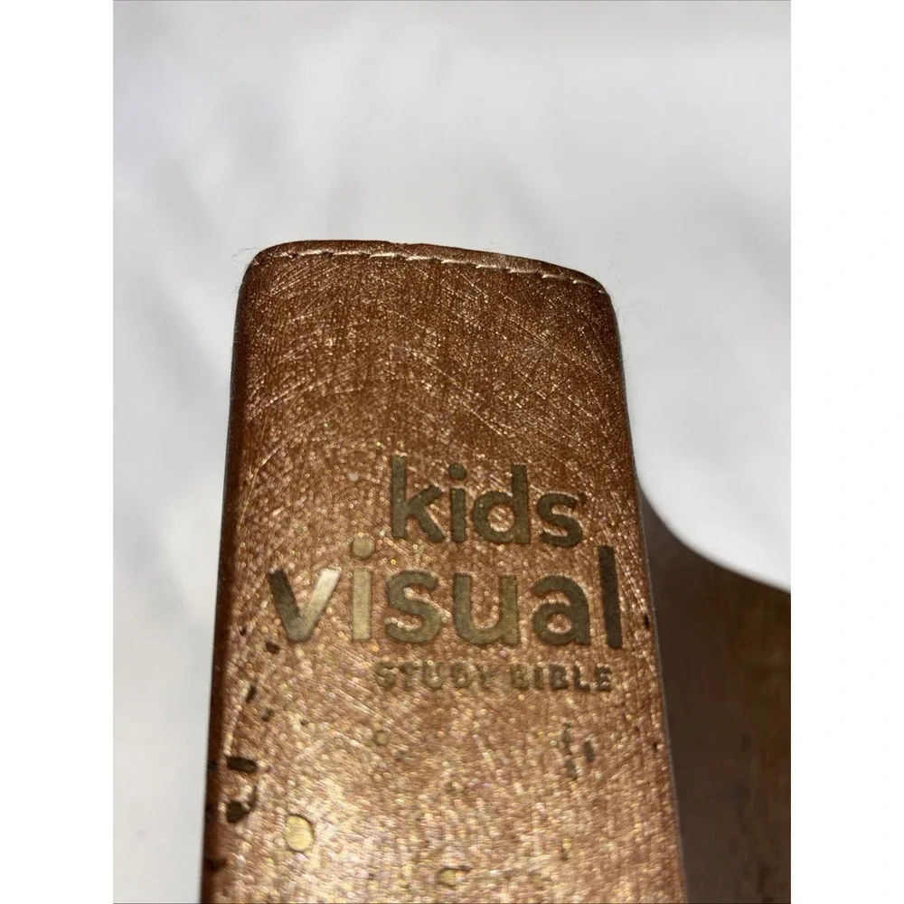 NIV Kids Visual Study Bible Zondervan Illustrated Brown Leather With Ribbon